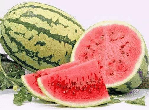 宁夏智造领航，未来生活新篇章在宁夏启航